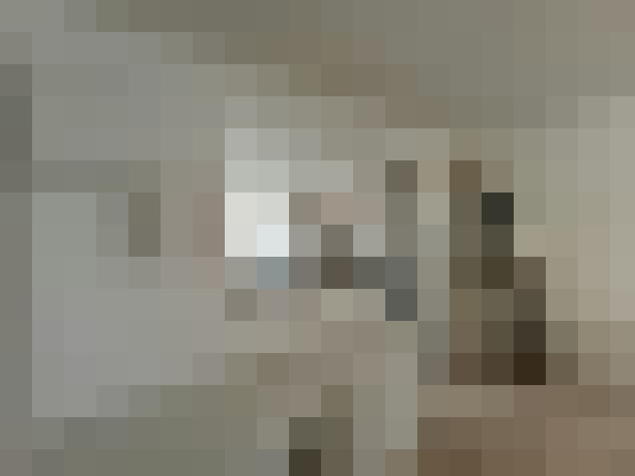 Image 46