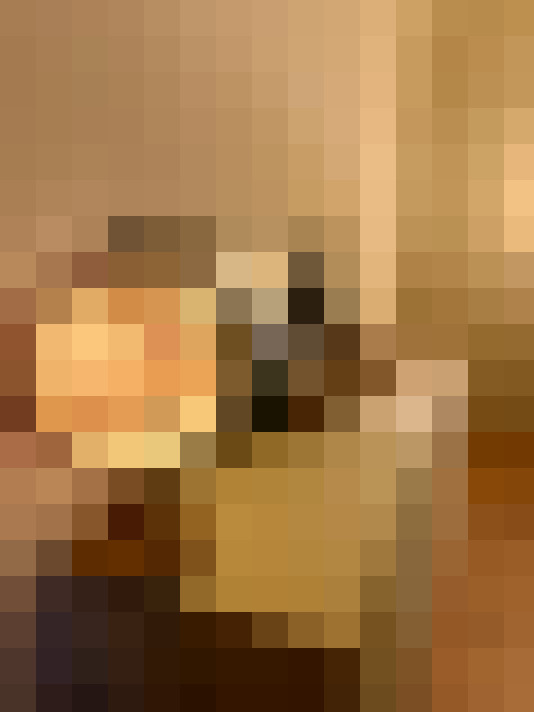 Image 28