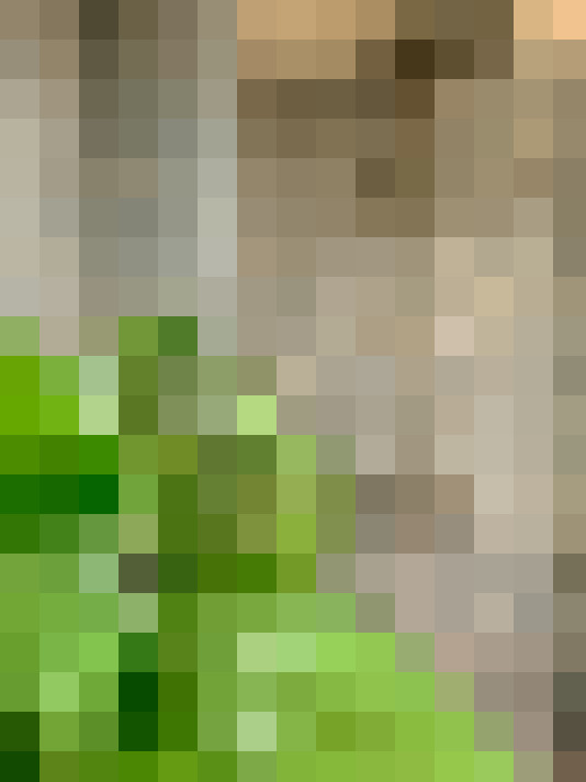 Image 33
