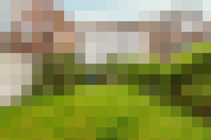 Image 15