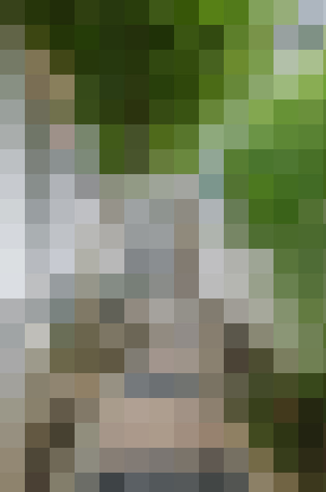 Image 23