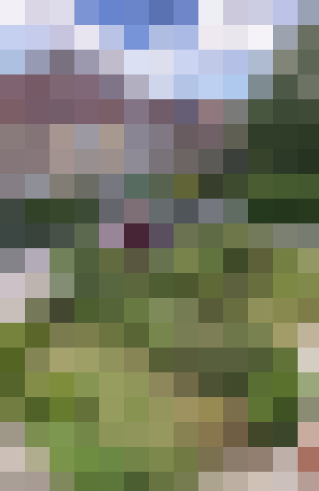 Image 13