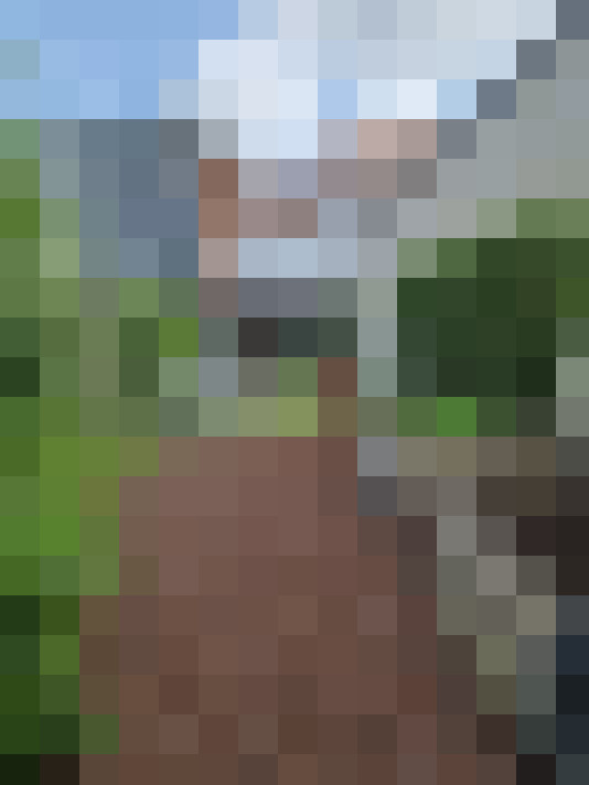 Image 15