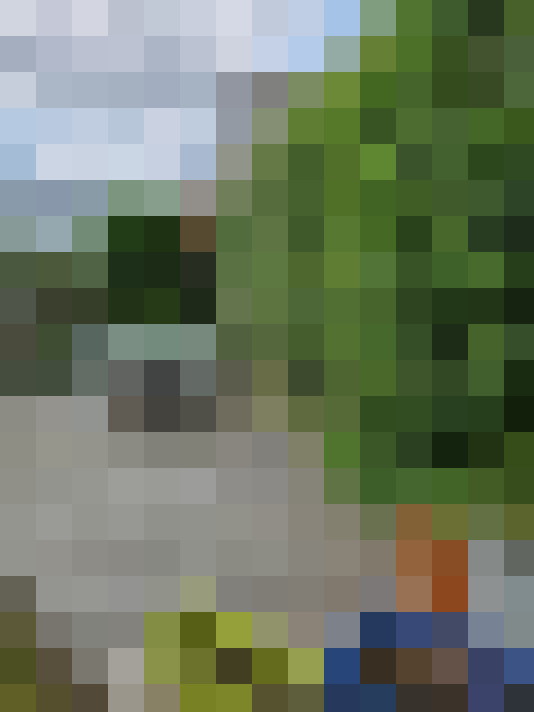 Image 16