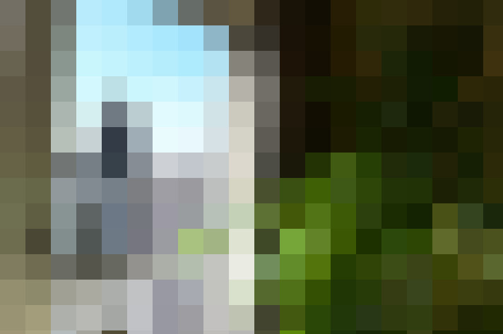 Image 36