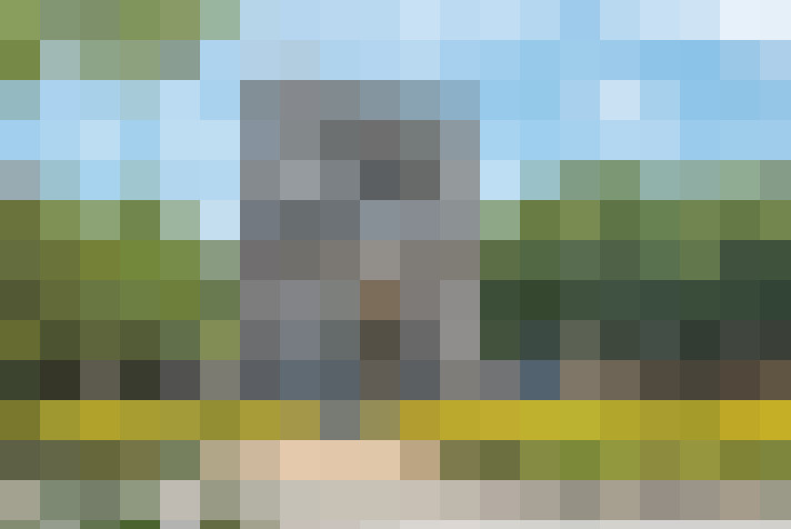 Image 31