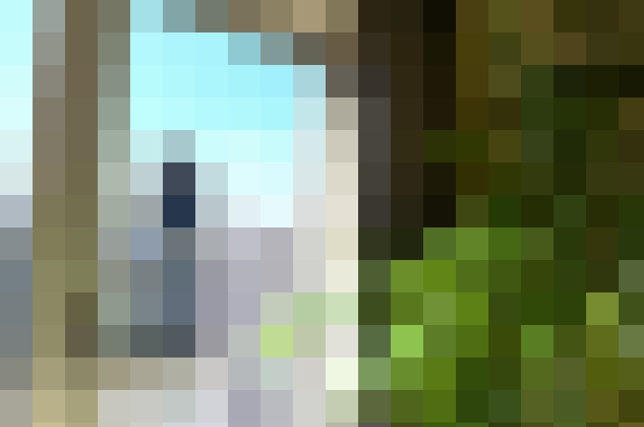 Image 26