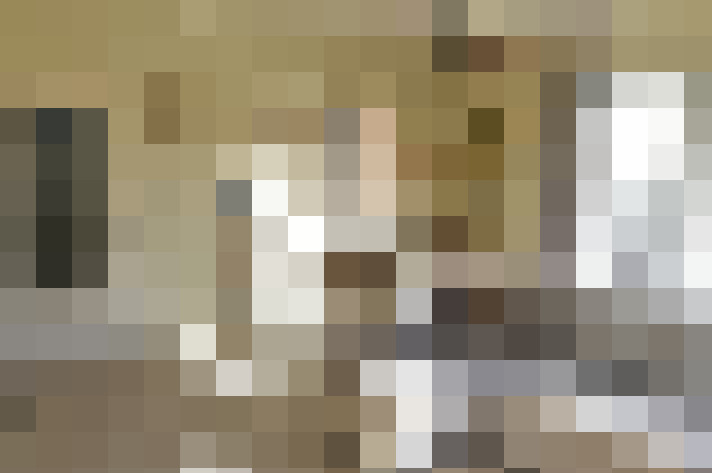 Image 23
