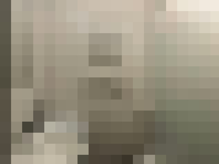 Image 13