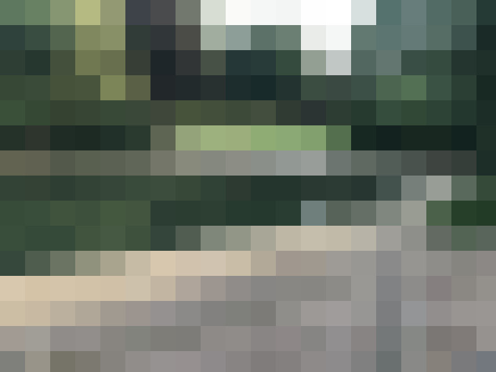 Image 26