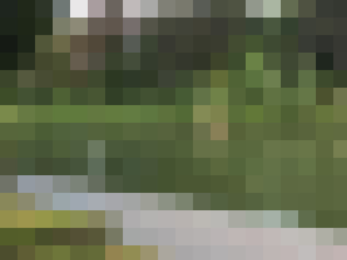 Image 28