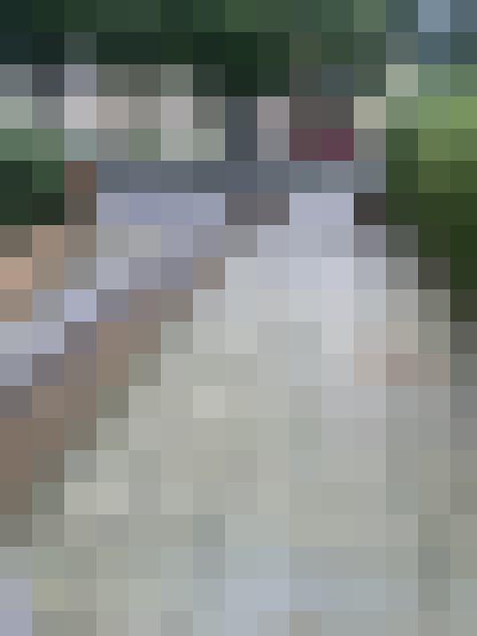 Image 33