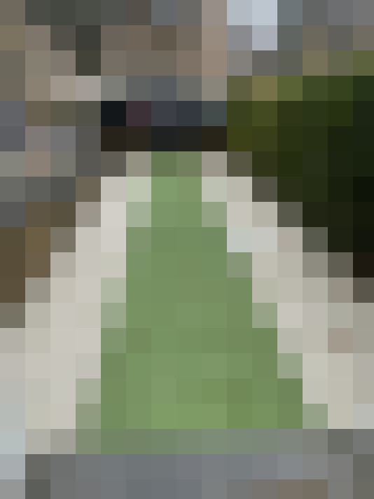 Image 40
