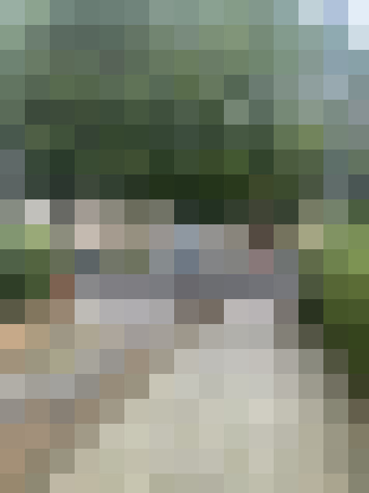 Image 36