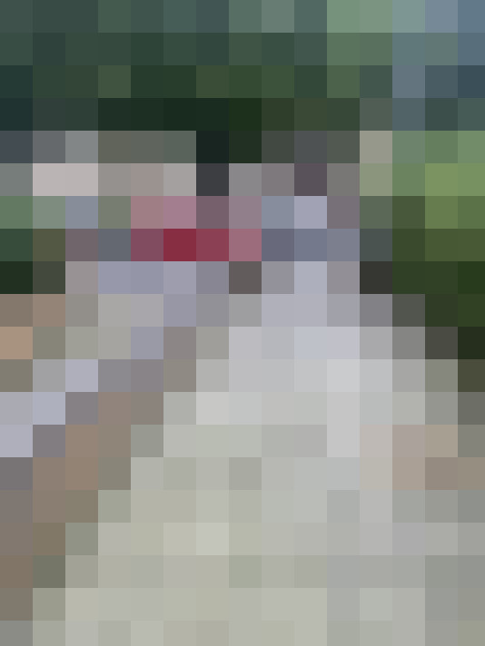 Image 34