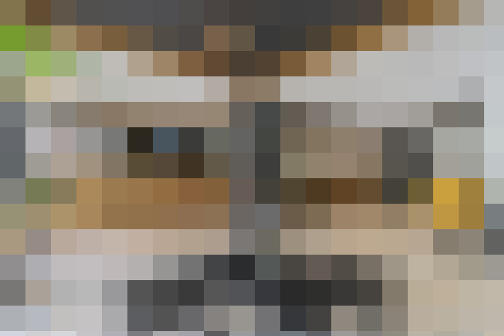 Image 15