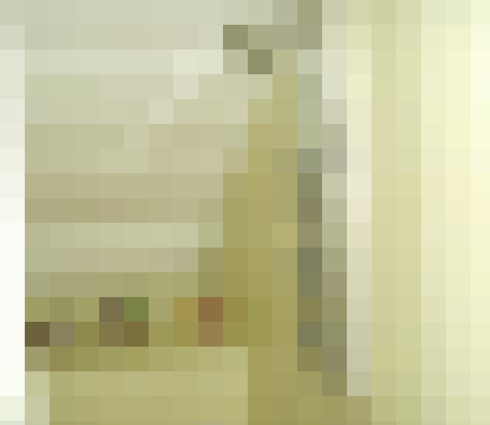 Image 17