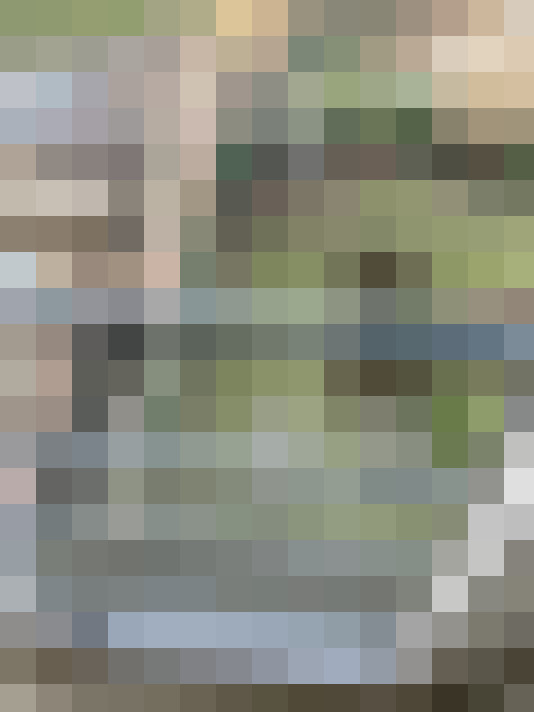 Image 17
