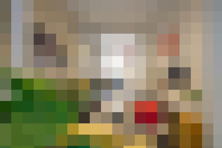 Image 13