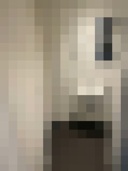 Image 29