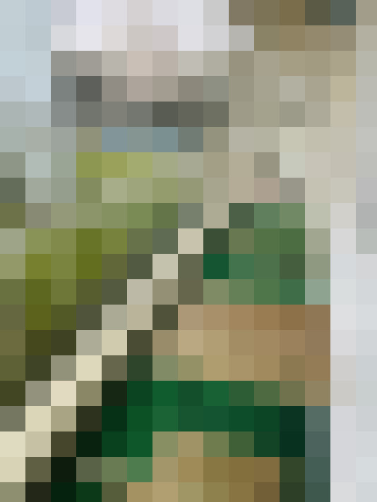 Image 17