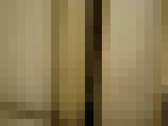 Image 29