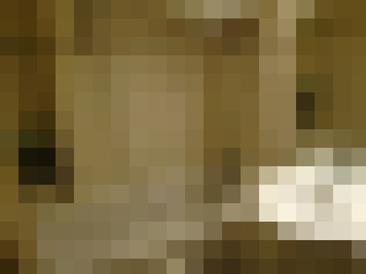 Image 32