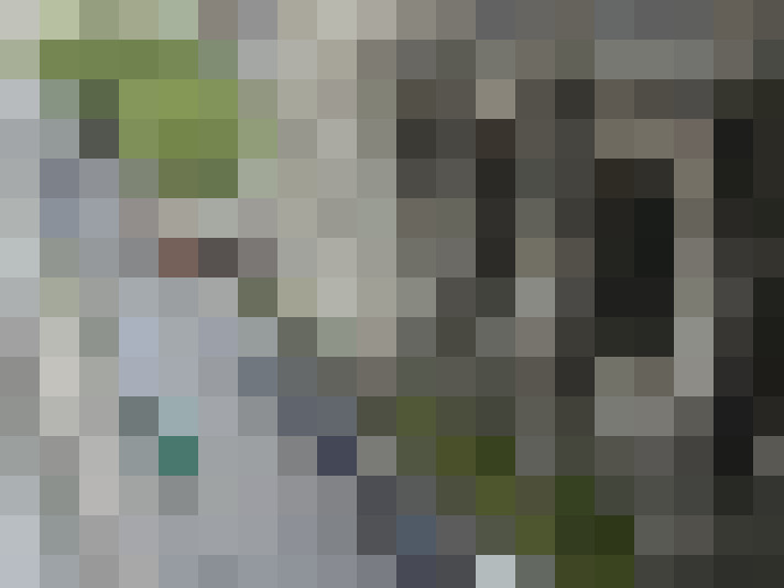 Image 23