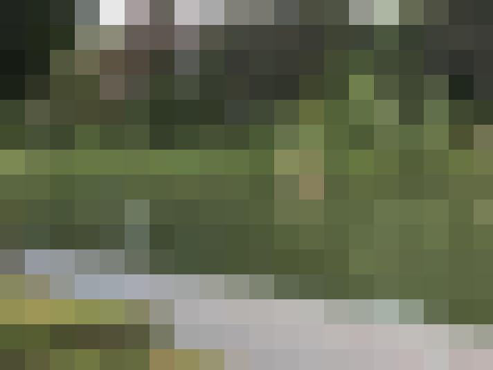 Image 16