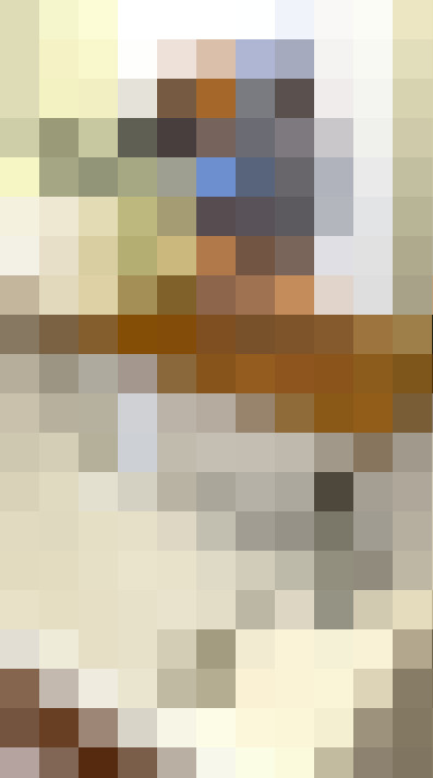 Image 13