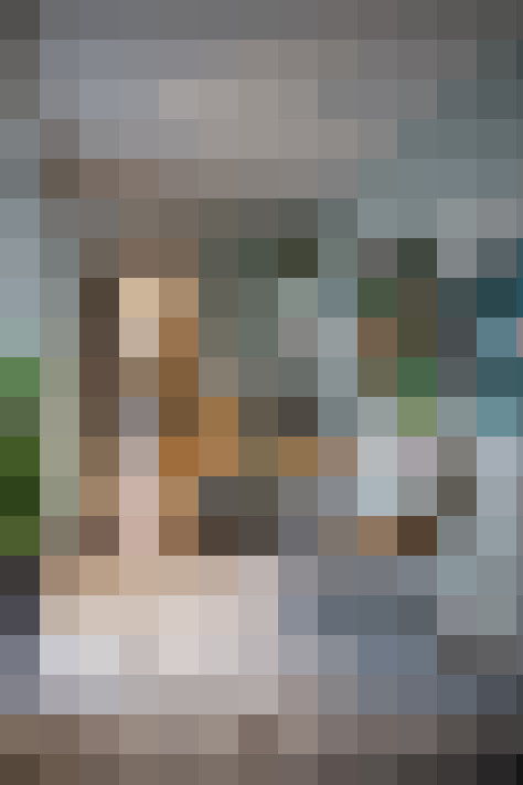 Image 29