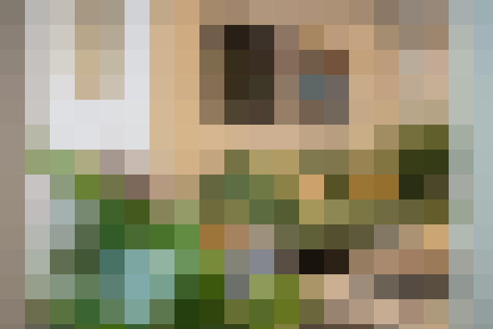 Image 25