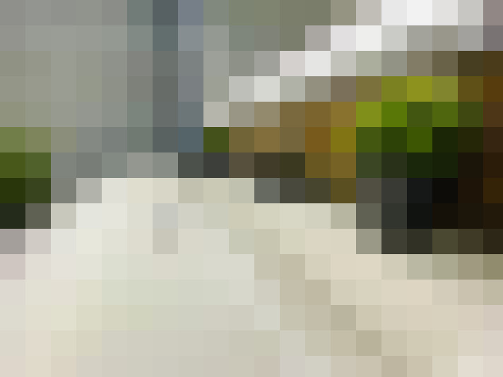 Image 23
