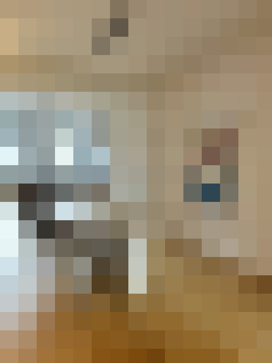 Image 20