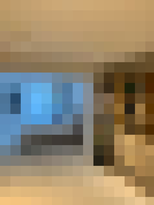 Image 15