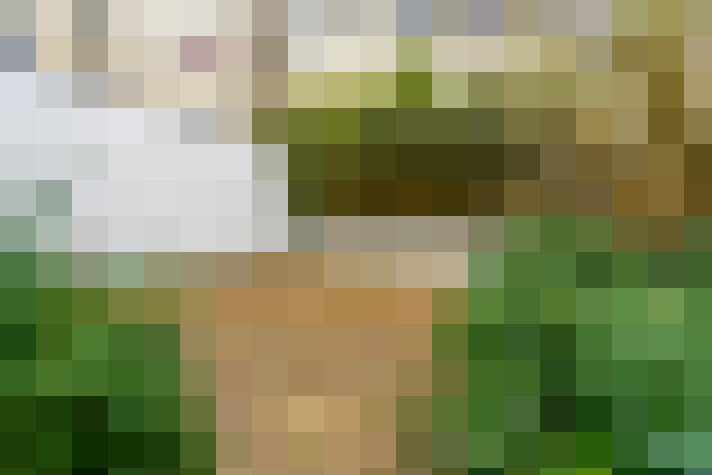Image 14