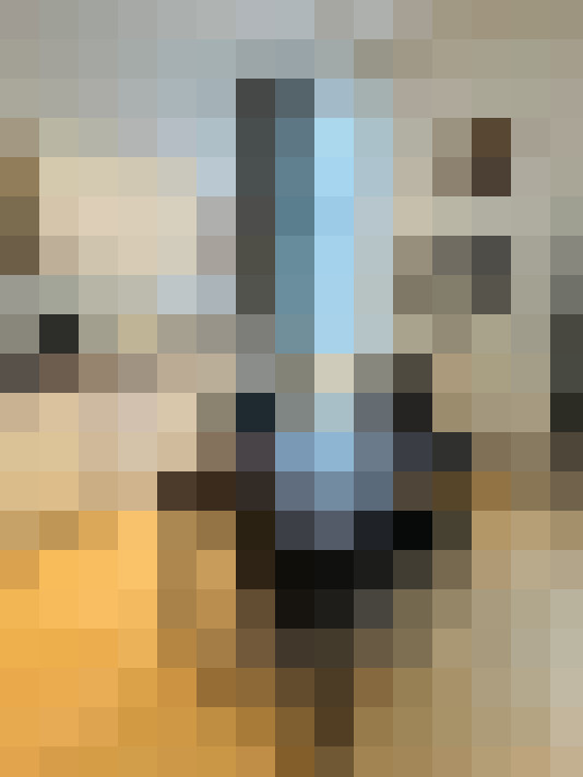  / #15