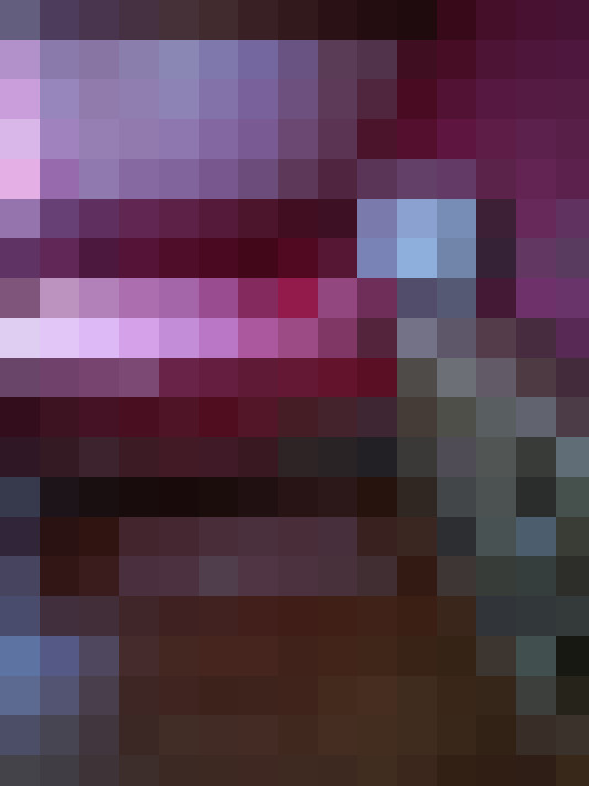 Image 29