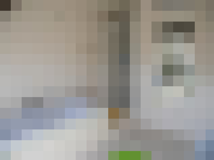 Image 22