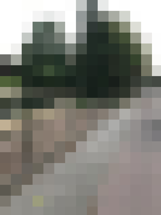 Image 29