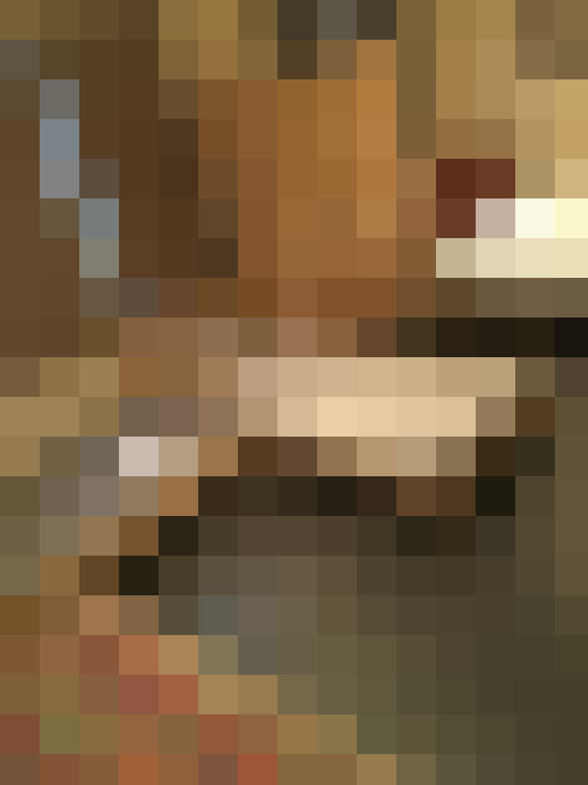 Image 21