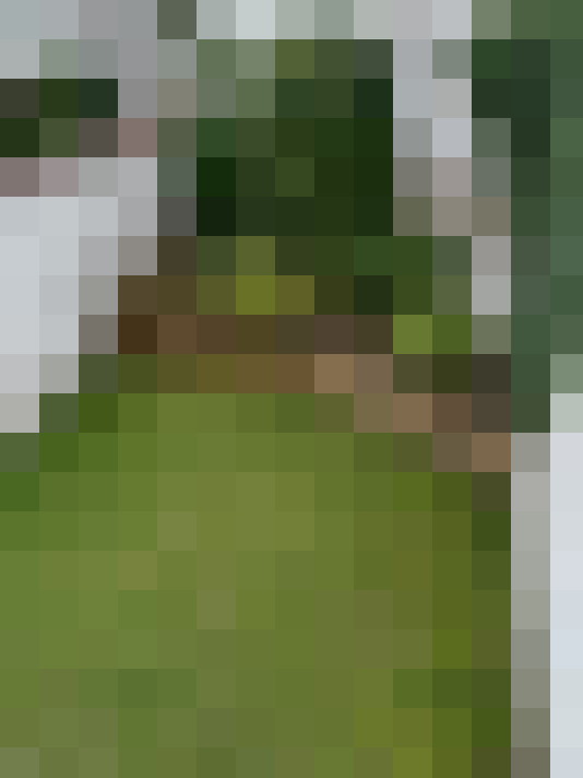 Image 26
