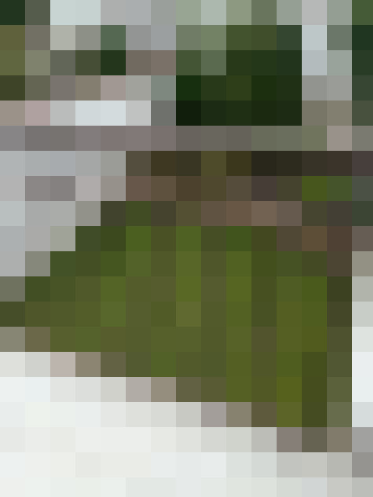 Image 25