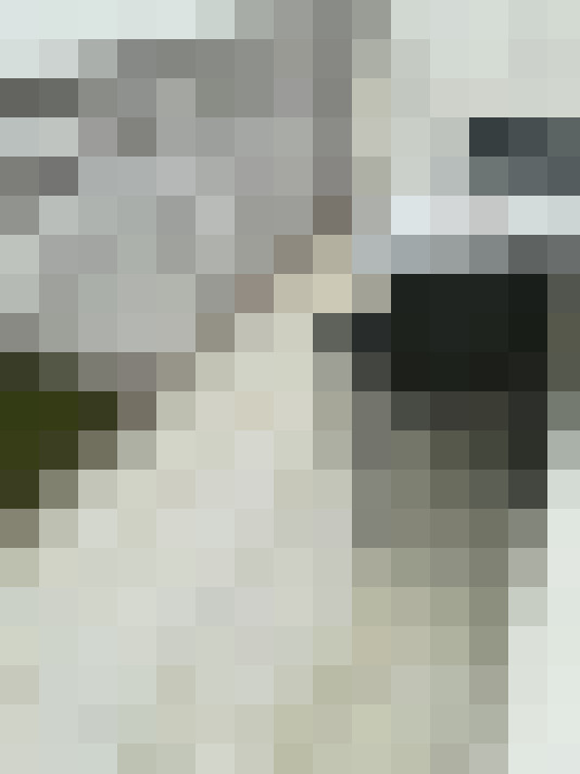 Image 24