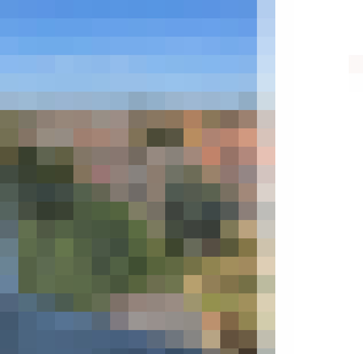 Image 37