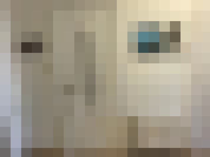 Image 40