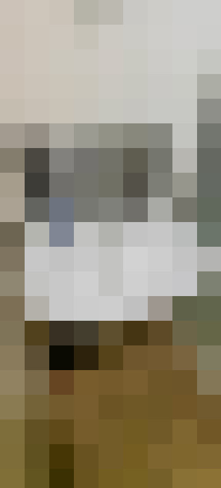 Image 13