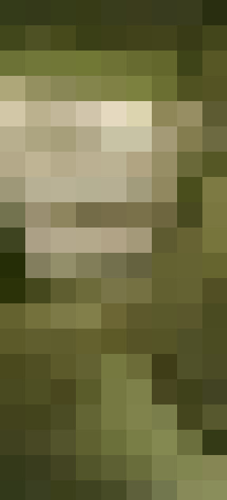 Image 20