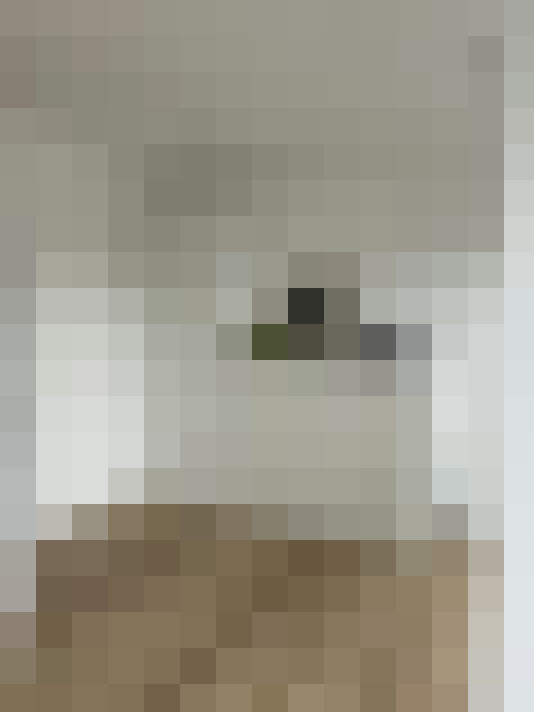 Image 20