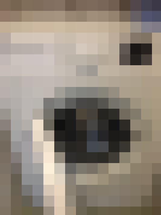 Image 28